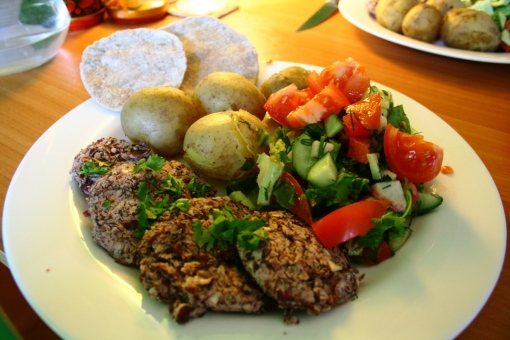Ayahuasca Food Diary | Diet Day 9 | Bean burgers